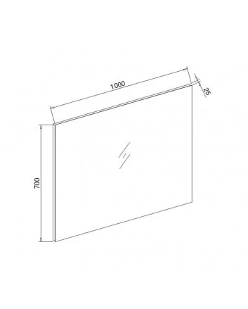 Sani DeLuxe Standaard spiegel 100